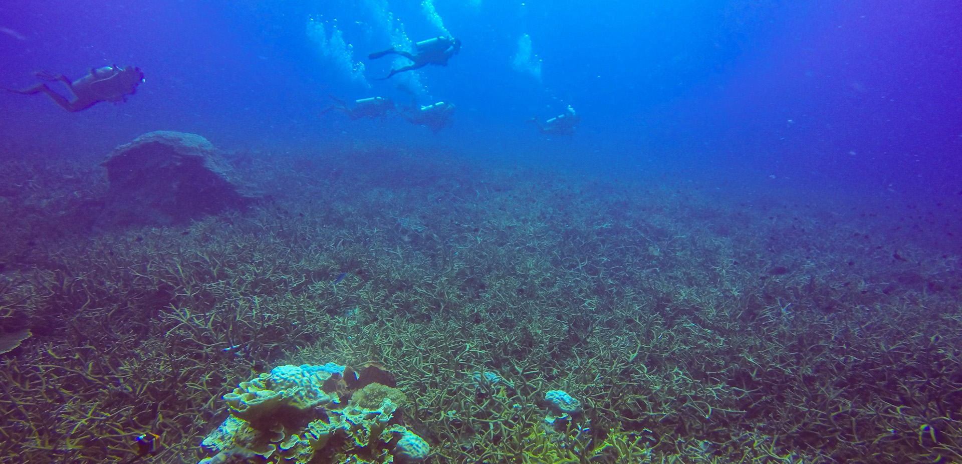 目前水處理技術(shù)可以達(dá)到什么凈水效果