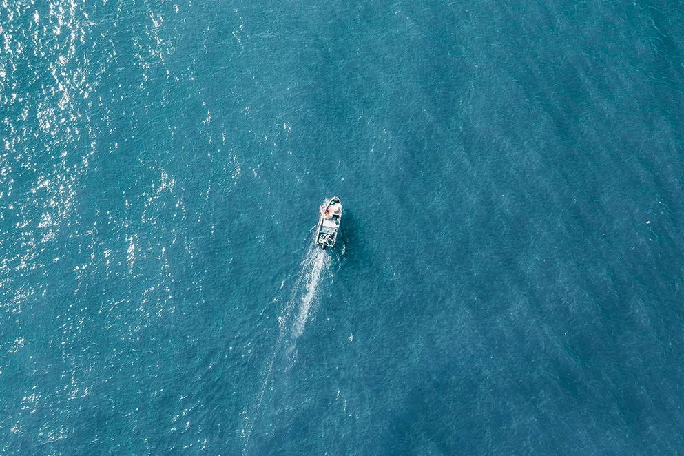 <b>官宣：戴思樂集團用戶中心重磅升級！</b>