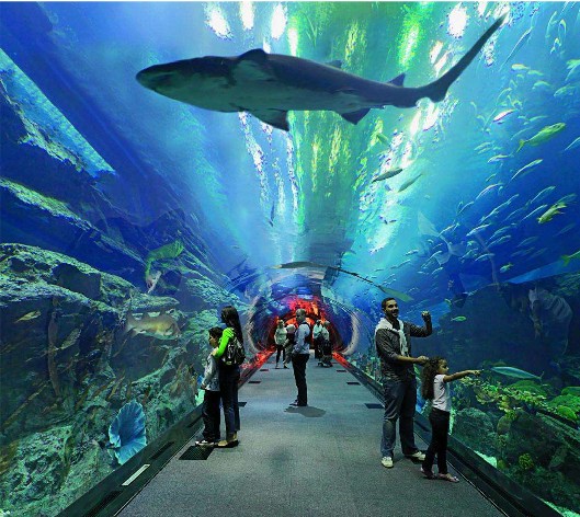 <b>海洋館水質(zhì)如何處理？水處理系統(tǒng)是關(guān)鍵！</b>