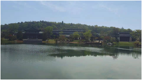 人工湖生態(tài)問題如何治理？