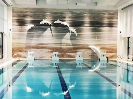 如何選擇游泳池水處理系統(tǒng)？