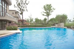 泳池循環(huán)水泵有沒專用泵，還是只要是離心泵就可以用在泳池呢？