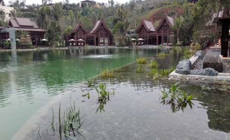 城市人工湖治理該怎么做？