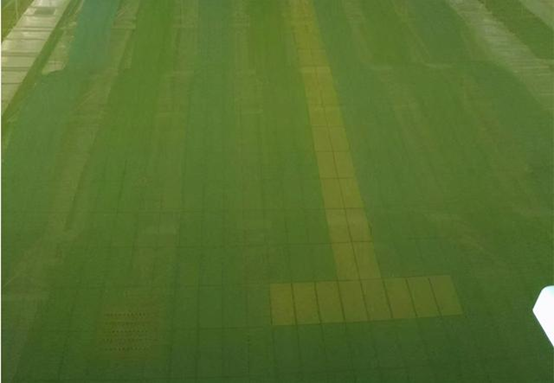 解決游泳池水質(zhì)渾濁的四大策略，歡迎查閱！