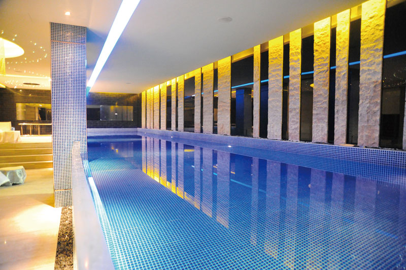 專業(yè)做高端游泳池的公司？