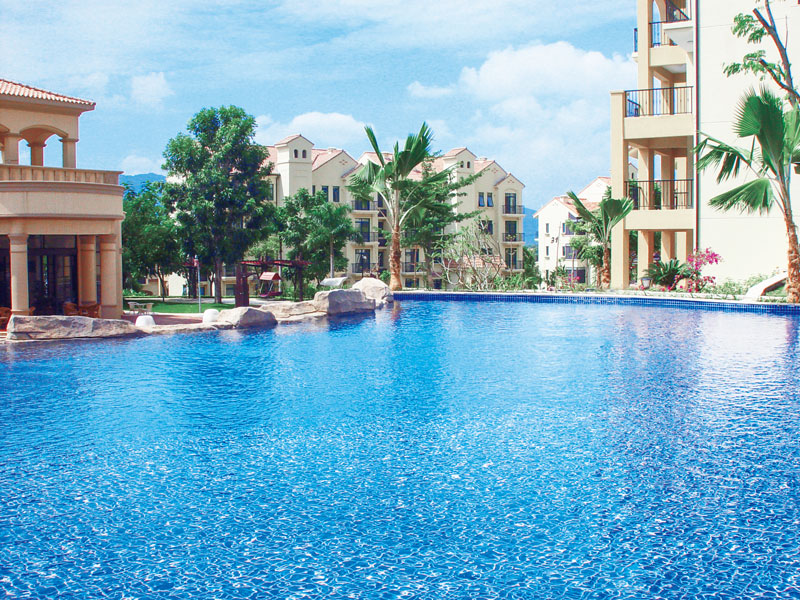 游泳池水龜,泳池水龜,游泳池清潔水龜,無線游泳池水龜