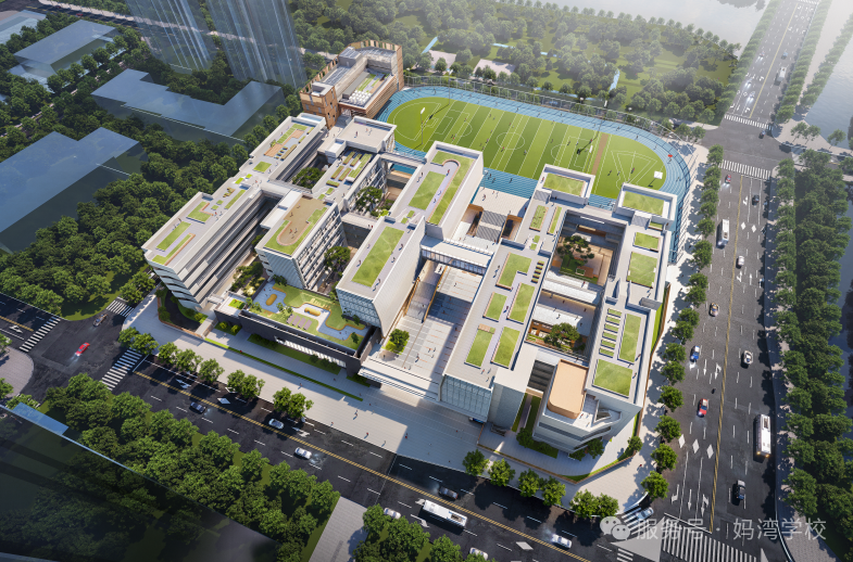 被認(rèn)真傾聽的學(xué)生時(shí)代，有多治愈？媽灣學(xué)子的暢泳與安心，就是答案